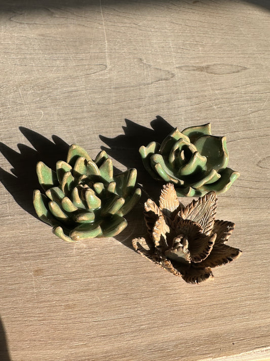 8/29/25, Friday, 5:30-7, Try It Hand built Succulents