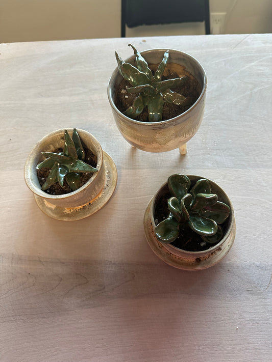 01/24/25, Friday, 6-8pm, Hand-built Fake Succulents